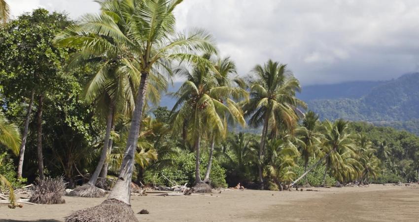 Ballena Dorada Lodge Увіта Екстер'єр фото